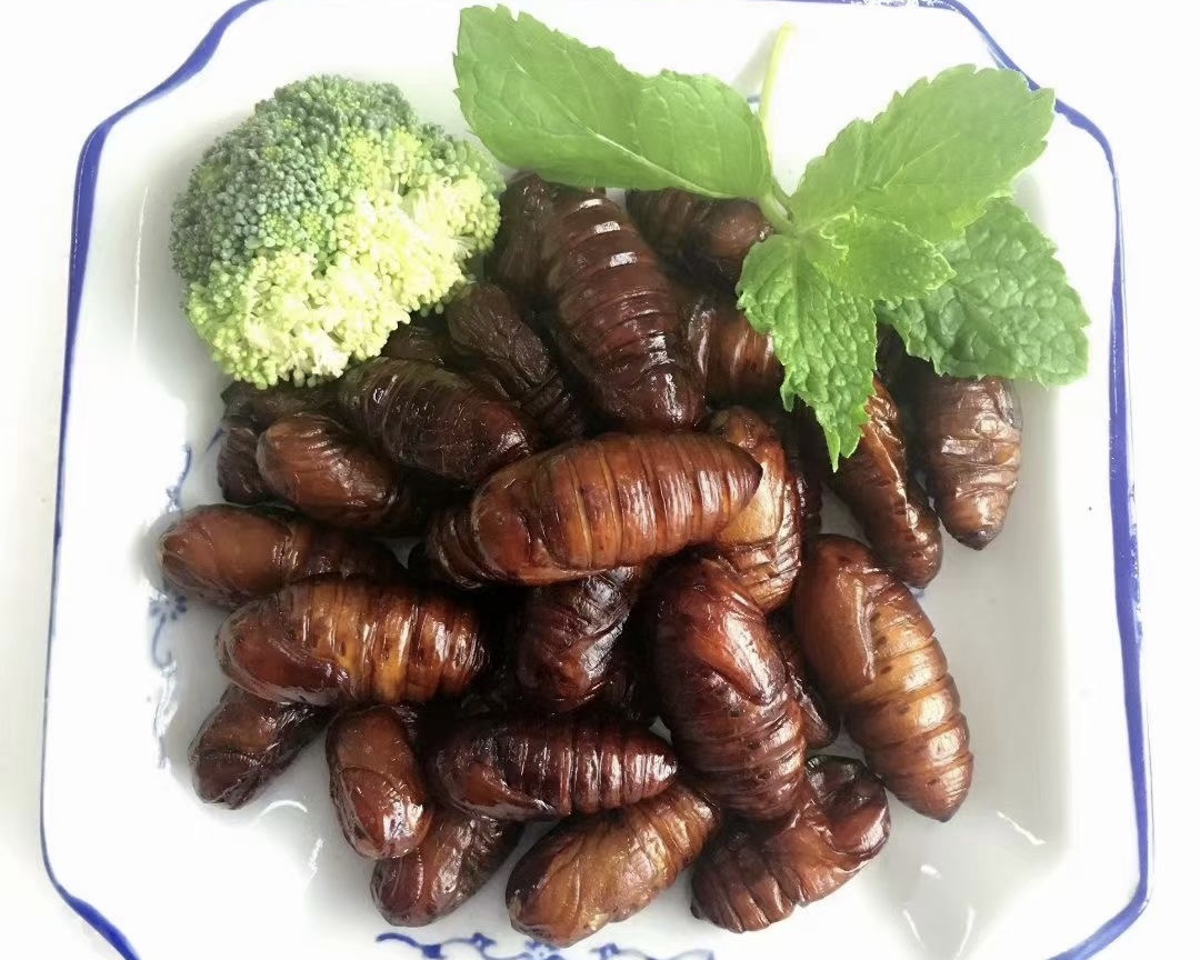 炸核桃虫.jpg