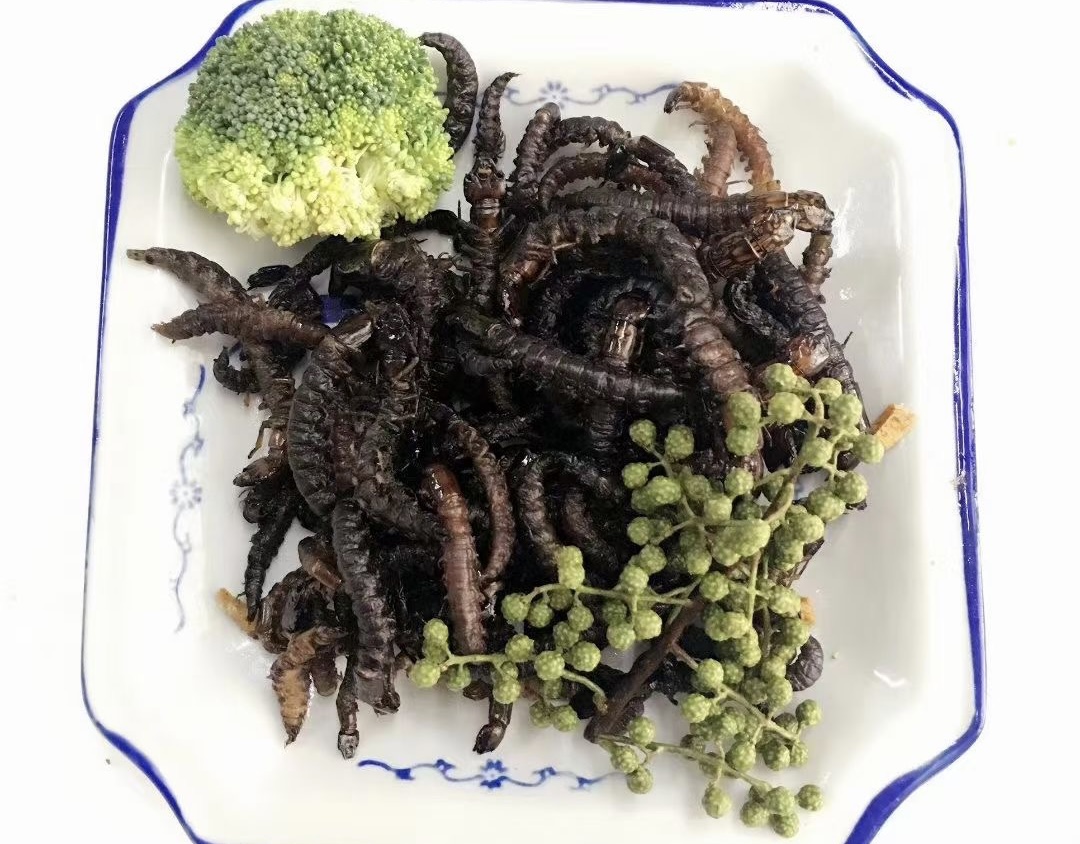 炸爬沙虫.jpg