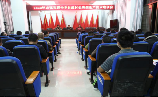 永德县地方产业发展服务中心组织召开全县2020年脱贫攻坚烤烟生产技术培训会