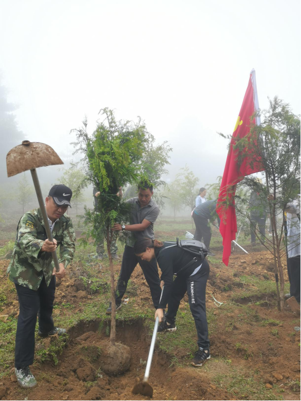 党旗飘扬在山间 为民办事添绿色